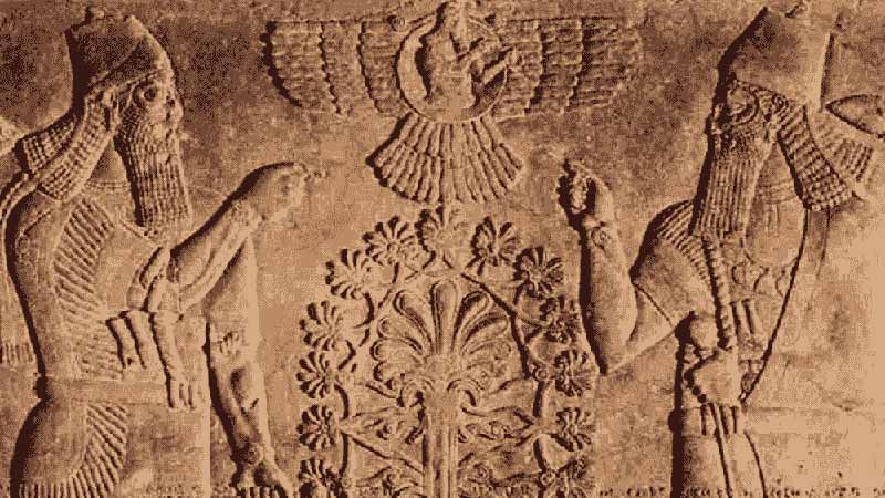 Mesopotamia Hemp Cultivation