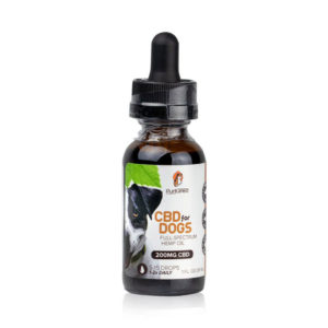 200 mg CBD for Dogs